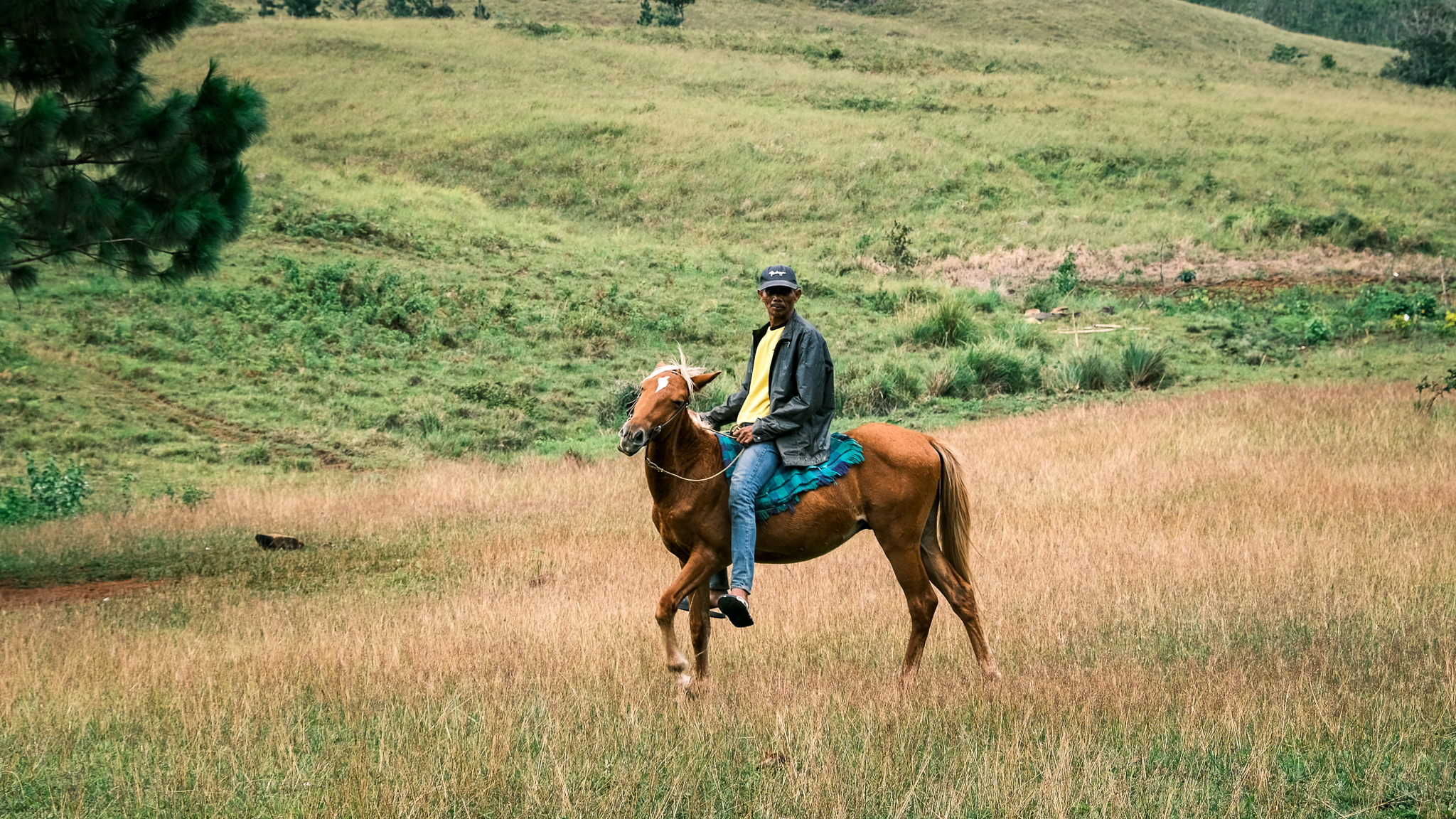 A man riding a horse in Sabangan campsite